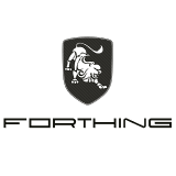 Автомобили марки FORTHING